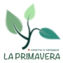LA PRIMAVERA, химчистка