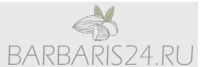 Barbaris24.ru, интернет-магазин орехов и сухофруктов