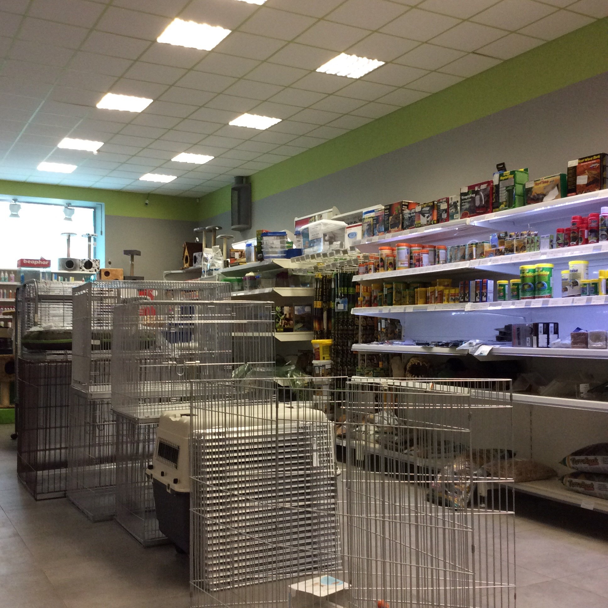 товары для животных санкт петербург. золотая рыбка зоомагазин. зоомагазин рядом со мной. огромный зоомагазин в санкт-петербурге. зоомагазин санкт-петербург.