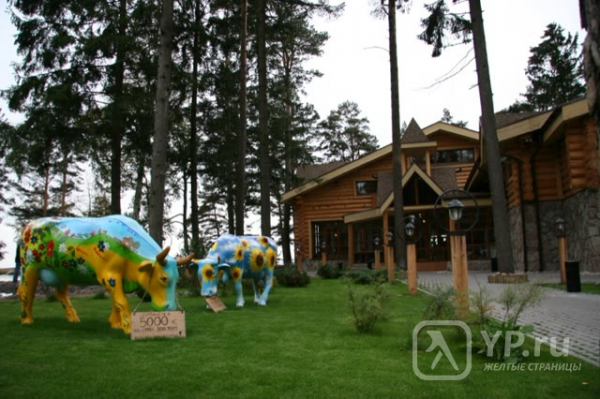 Рыбалка ресторан репино. Рыбалка приморского шоссе. Приморское шоссе 452а. Рыбалка приморского шоссе. Рыбалка приморского шоссе.