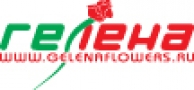 ГЕЛЕНА, сеть магазинов цветов