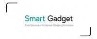 SMART GADGET HOLDING