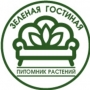 ЗЕЛЕНАЯ ГОСТИНА, питомник растений