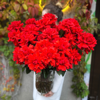 Свежая роза «Нина» в наличии