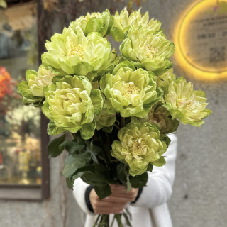 Посмотрите какая красотка у нас в роспуске🦋