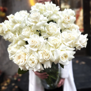 Садовая роза «Плайа Бланка»— это произведение искусства, рожденное в руках мастера. 