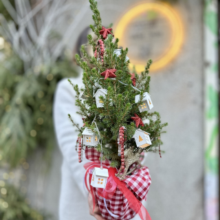 Живая елочка «Рождественская деревня» 