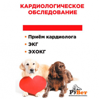 Кардиологическое обследование