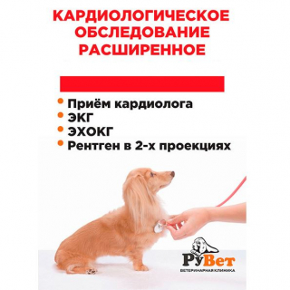 Кардиологическое обследование расширенное