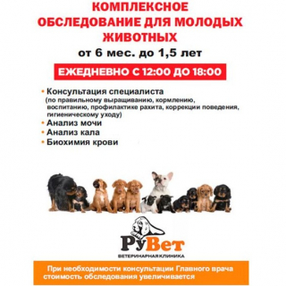 Комплексное обследование для молодых животных от 6 мес. до 1,5 лет